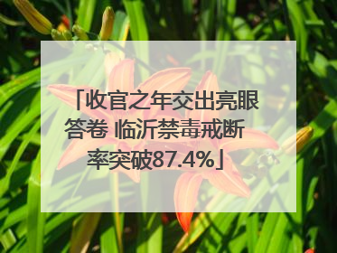 收官之年交出亮眼答卷 临沂禁毒戒断率突破87.4%