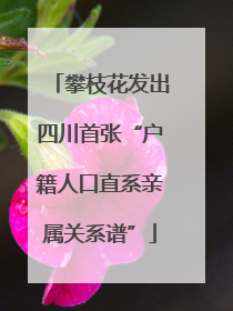 攀枝花发出四川首张“户籍人口直系亲属关系谱”