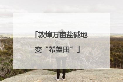 敦煌万亩盐碱地变“希望田”