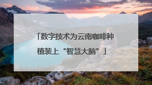 数字技术为云南咖啡种植装上“智慧大脑”