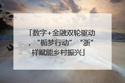 数字+金融双轮驱动，“栀梦行动”“浙”样赋能乡村振兴
