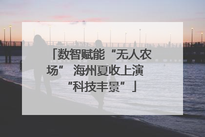 数智赋能“无人农场” 海州夏收上演“科技丰景”