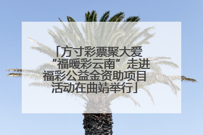 方寸彩票聚大爱 “福暖彩云南”走进福彩公益金资助项目活动在曲靖举行