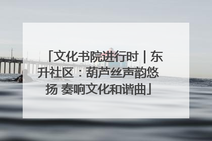 文化书院进行时｜东升社区：葫芦丝声韵悠扬 奏响文化和谐曲