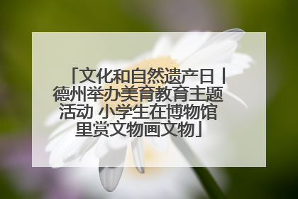 文化和自然遗产日丨德州举办美育教育主题活动 小学生在博物馆里赏文物画文物