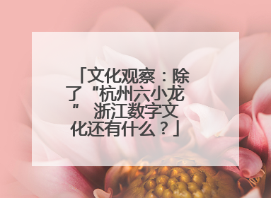 文化观察：除了“杭州六小龙” 浙江数字文化还有什么？