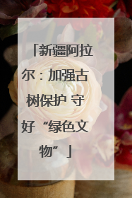 新疆阿拉尔：加强古树保护 守好“绿色文物”