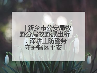 新乡市公安局牧野分局牧野派出所：深耕主防警务 守护辖区平安