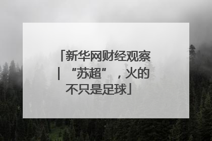 新华网财经观察｜“苏超”，火的不只是足球