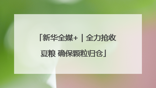 新华全媒+｜全力抢收夏粮 确保颗粒归仓
