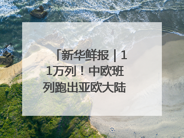 新华鲜报｜11万列！中欧班列跑出亚欧大陆“新时速”