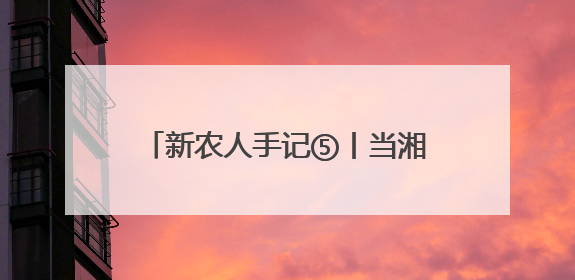 新农人手记⑤丨当湘潭白莲遇上云端电商 新视野带来了新路径