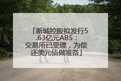 新城控股拟发行5.63亿元ABS：交易所已受理，为偿还美元债做准备