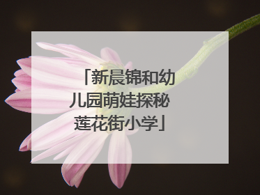 新晨锦和幼儿园萌娃探秘莲花街小学