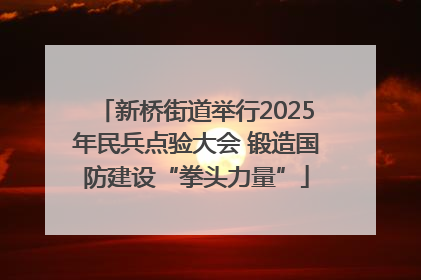 新桥街道举行2025年民兵点验大会 锻造国防建设“拳头力量”
