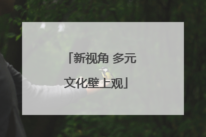 新视角 多元文化壁上观