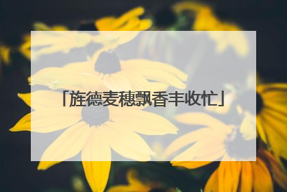 旌德麦穗飘香丰收忙