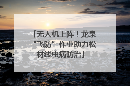 无人机上阵！龙泉“飞防”作业助力松材线虫病防治