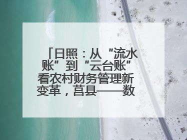 日照：从“流水账”到“云台账”看农村财务管理新变革，莒县——数字赋能激活乡村振兴“一池春水”