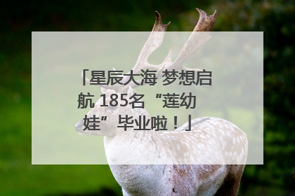 星辰大海 梦想启航 185名“莲幼娃”毕业啦！