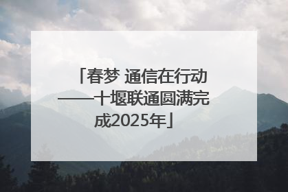 春梦 通信在行动——十堰联通圆满完成2025年