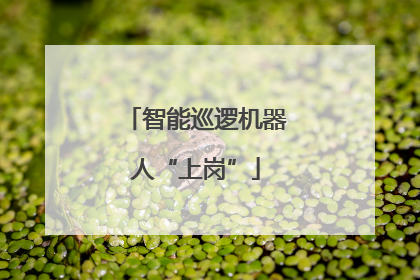 智能巡逻机器人“上岗”