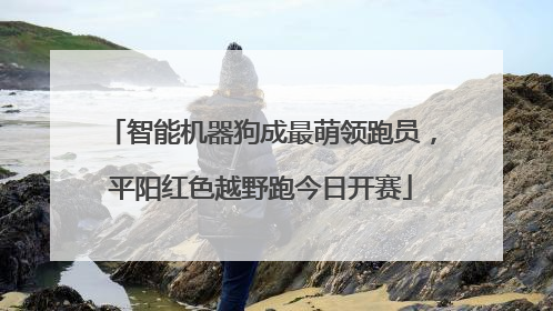 智能机器狗成最萌领跑员，平阳红色越野跑今日开赛
