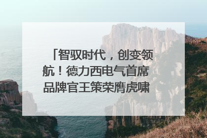 智驭时代，创变领航！德力西电气首席品牌官王策荣膺虎啸奖年度品牌人物