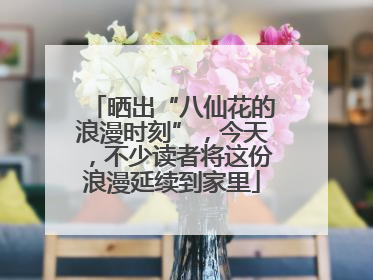 晒出“八仙花的浪漫时刻”，今天，不少读者将这份浪漫延续到家里