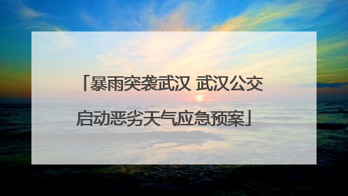 暴雨突袭武汉 武汉公交启动恶劣天气应急预案