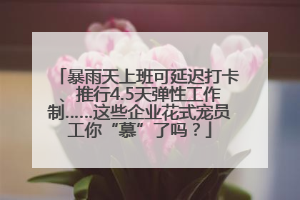 暴雨天上班可延迟打卡、推行4.5天弹性工作制……这些企业花式宠员工你“慕”了吗？