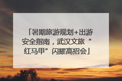 暑期旅游规划+出游安全指南，武汉文旅“红马甲”闪耀高招会