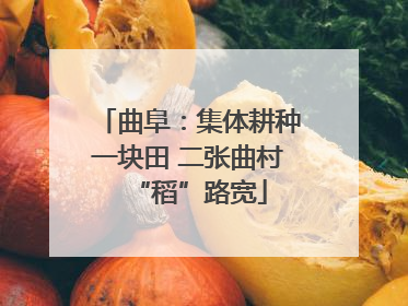 曲阜：集体耕种一块田 二张曲村“稻”路宽
