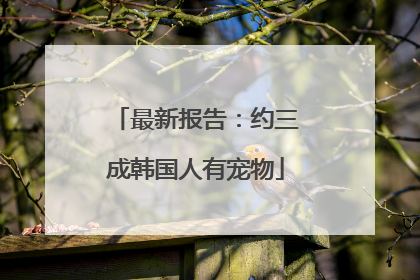 最新报告：约三成韩国人有宠物