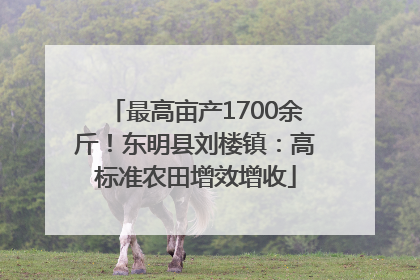 最高亩产1700余斤！东明县刘楼镇：高标准农田增效增收