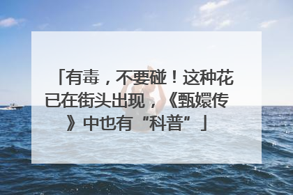 有毒，不要碰！这种花已在街头出现，《甄嬛传》中也有“科普”