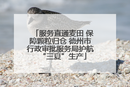服务直通麦田 保障颗粒归仓 德州市行政审批服务局护航“三夏”生产