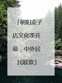 朝阳麦子店文化季开幕，中外居民联欢