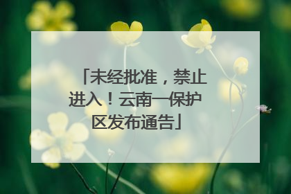 未经批准，禁止进入！云南一保护区发布通告
