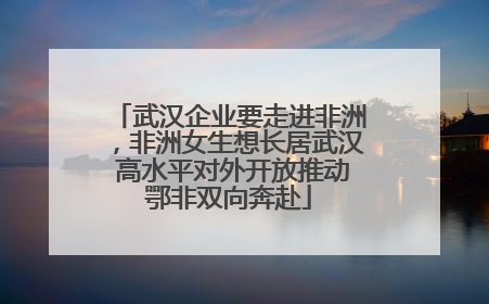 武汉企业要走进非洲，非洲女生想长居武汉 高水平对外开放推动鄂非双向奔赴