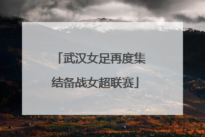武汉女足再度集结备战女超联赛