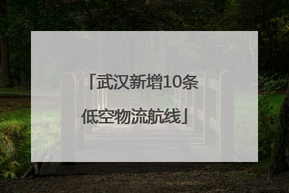 武汉新增10条低空物流航线