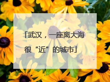 武汉，一座离大海很“近”的城市