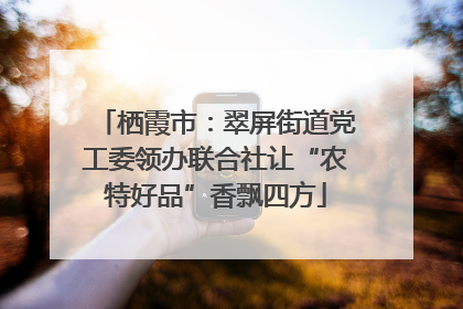 栖霞市：翠屏街道党工委领办联合社让“农特好品”香飘四方