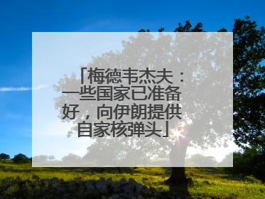 梅德韦杰夫：一些国家已准备好，向伊朗提供自家核弹头