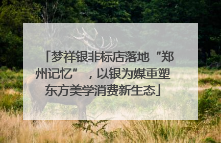 梦祥银非标店落地“郑州记忆”，以银为媒重塑东方美学消费新生态