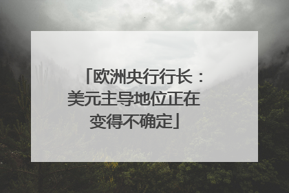 欧洲央行行长：美元主导地位正在变得不确定