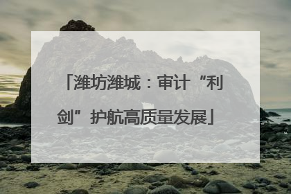 潍坊潍城：审计“利剑”护航高质量发展