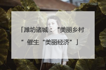 潍坊诸城：“美丽乡村”催生“美丽经济”