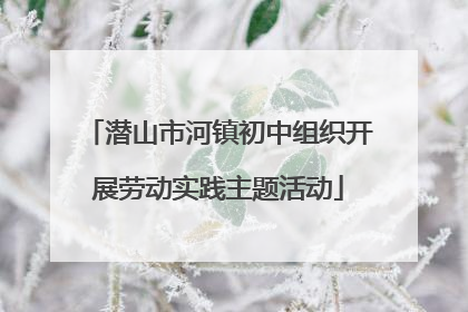 潜山市河镇初中组织开展劳动实践主题活动